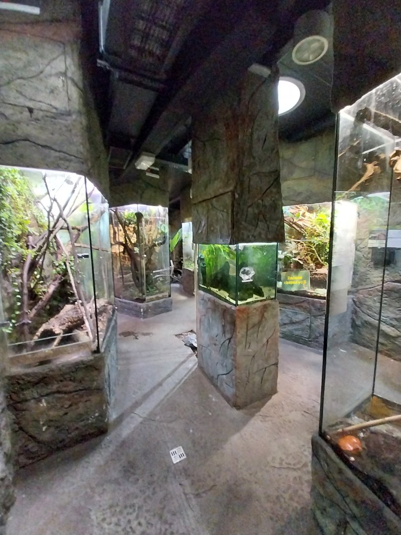 Reptile House - General view