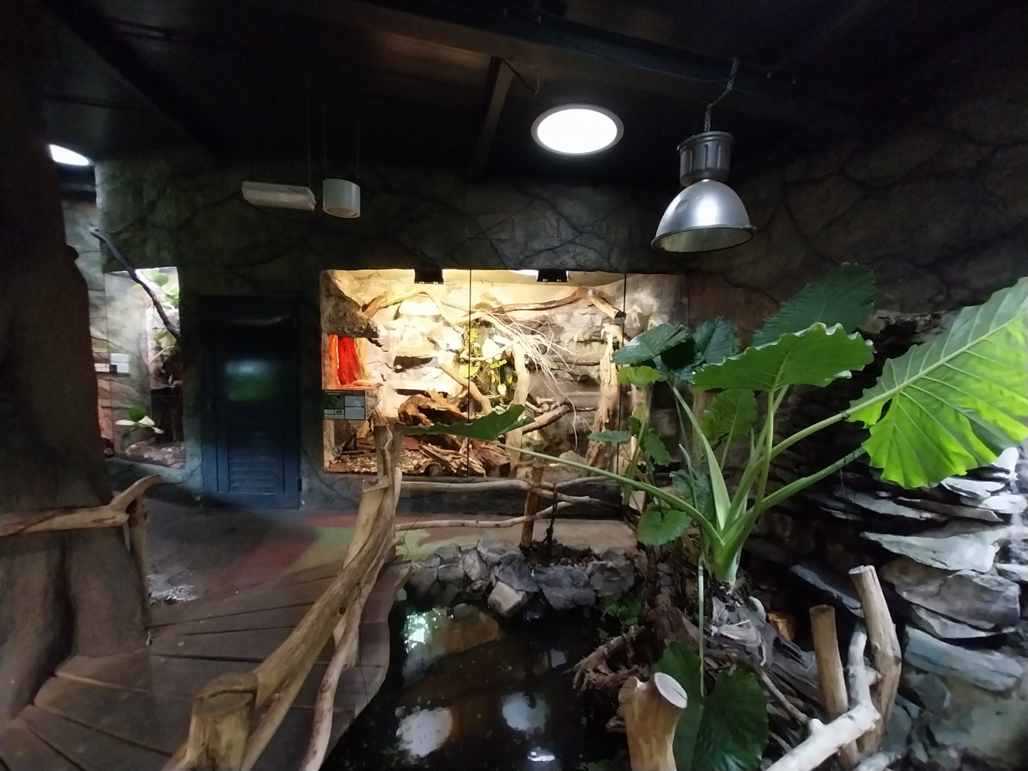 Reptile House - General view