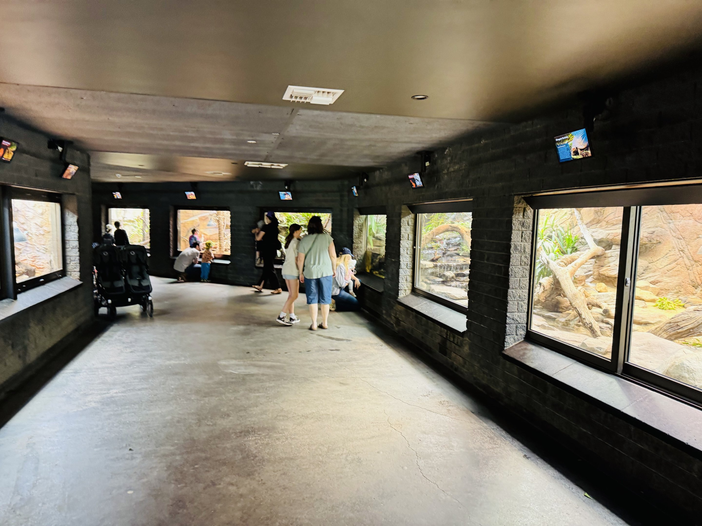 Reptile house general view