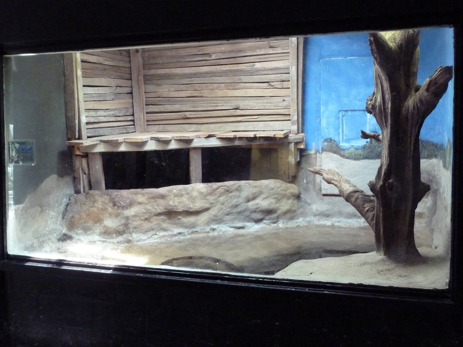 Reptile House - Green Anaconda Exhibit