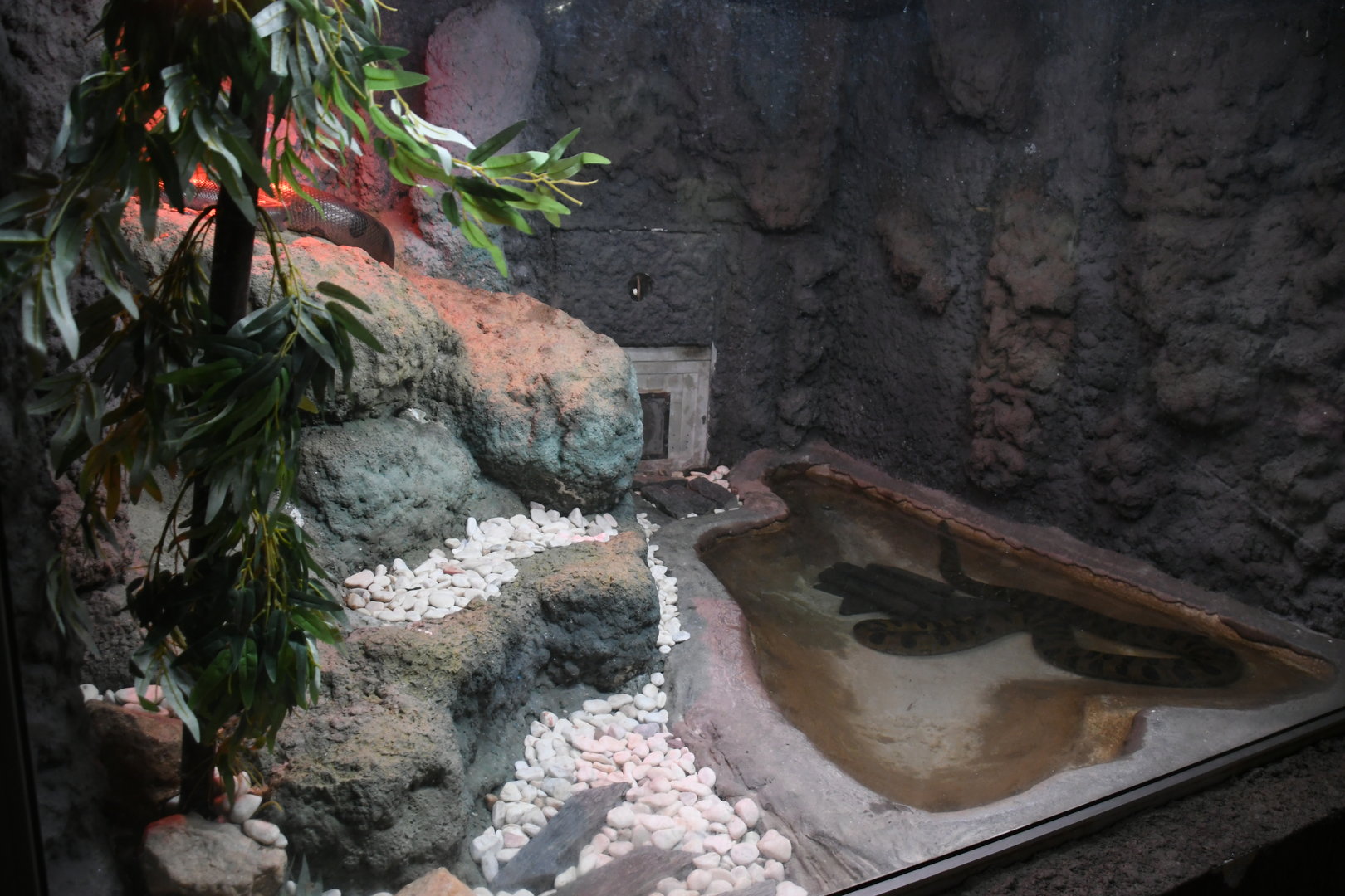 Reptile House (Green Anaconda exhibit)