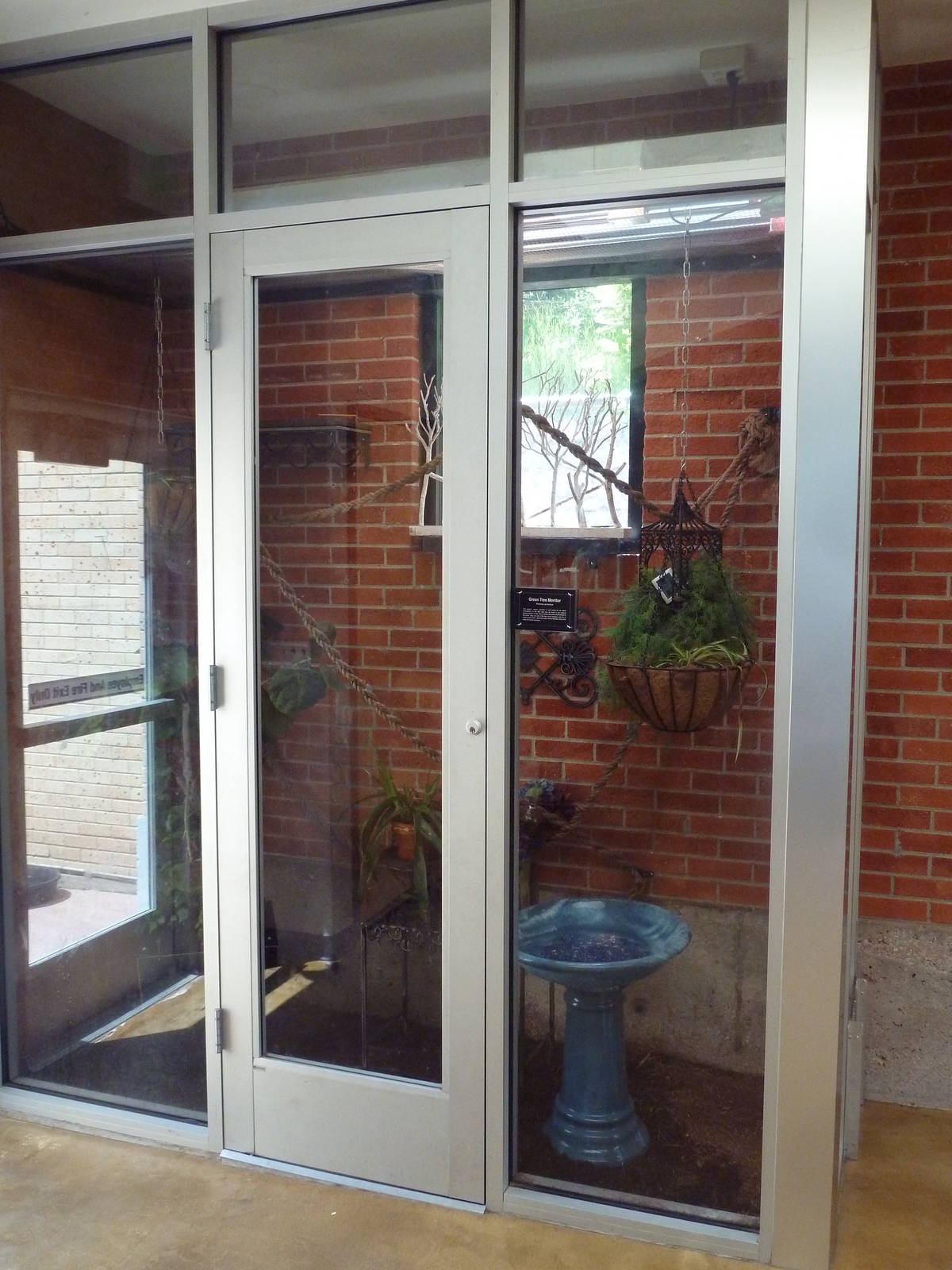 Reptile House - Green Tree Monitor Exhibit