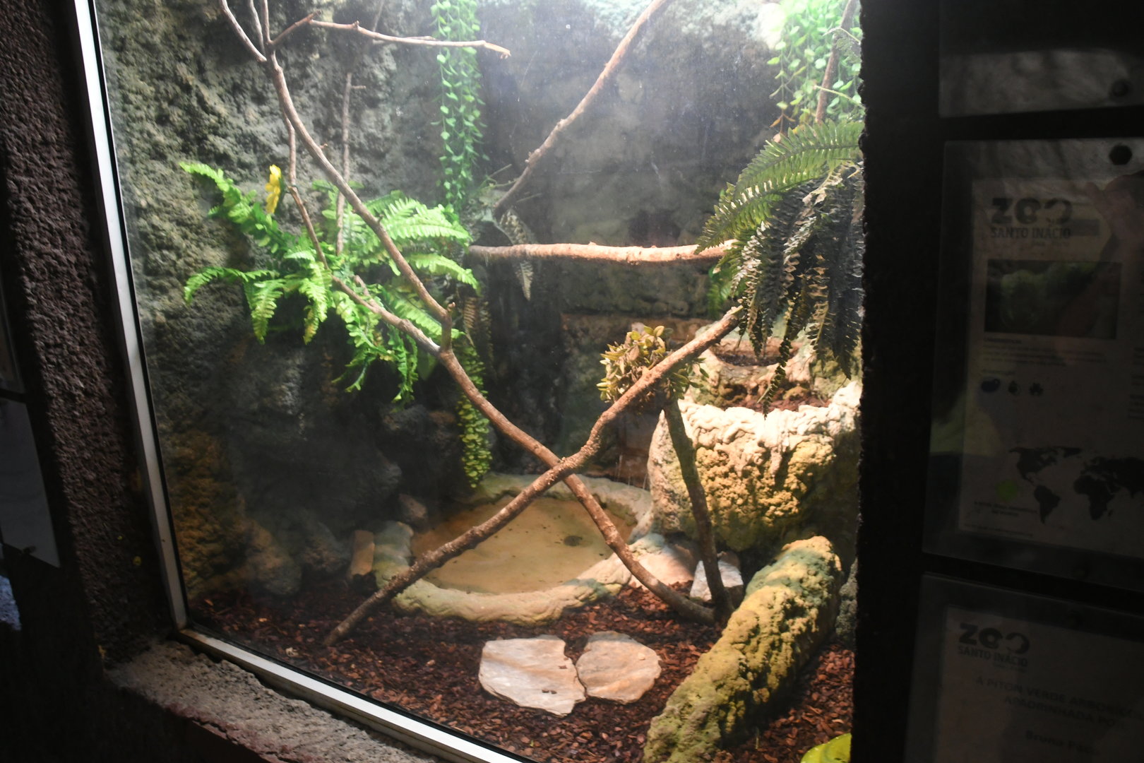 Reptile House (Green Tree Python exhibit)