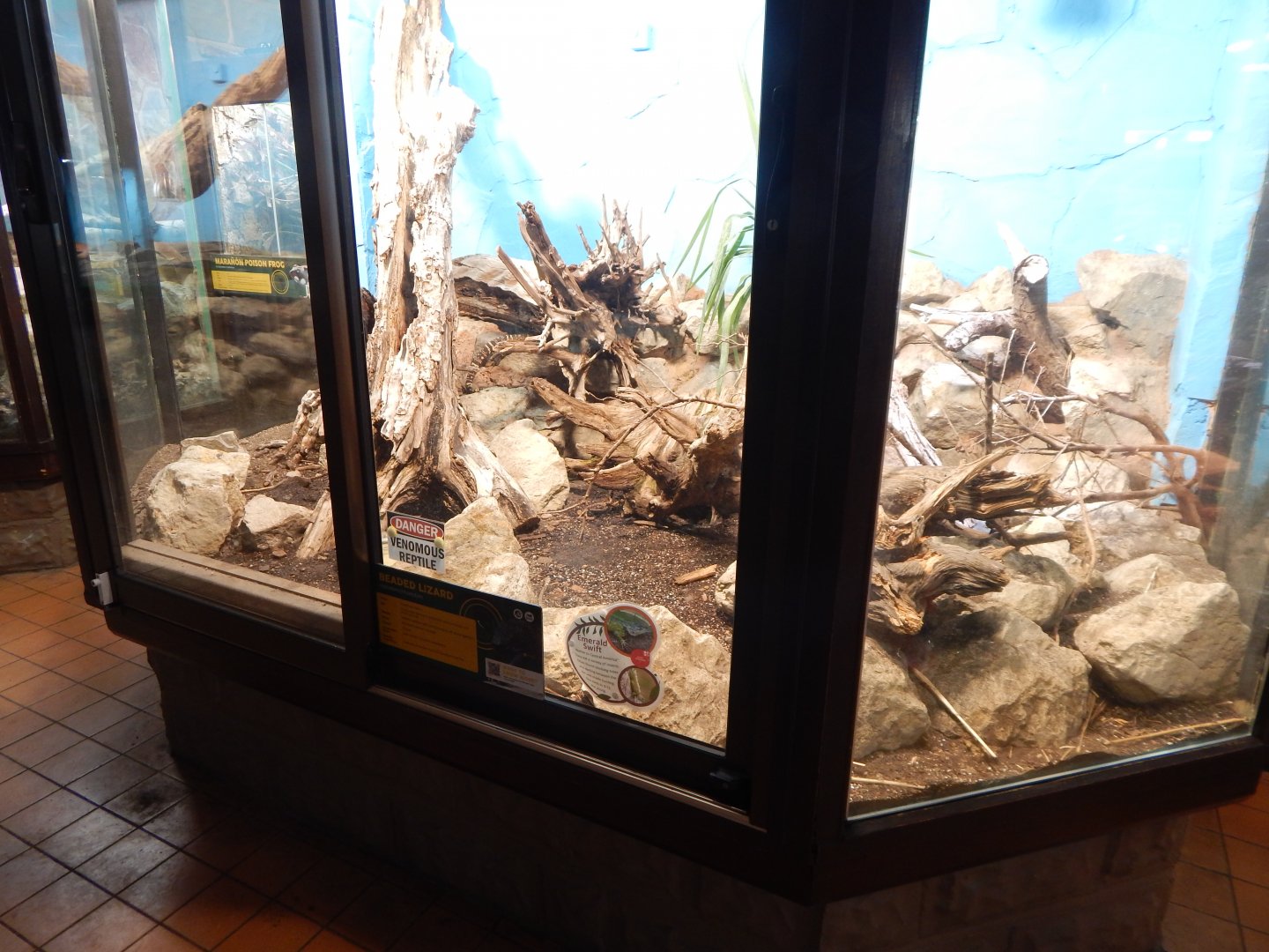 Reptile House - Habitat for Rio Fuerte beaded lizard/Green spiny lizard 040324