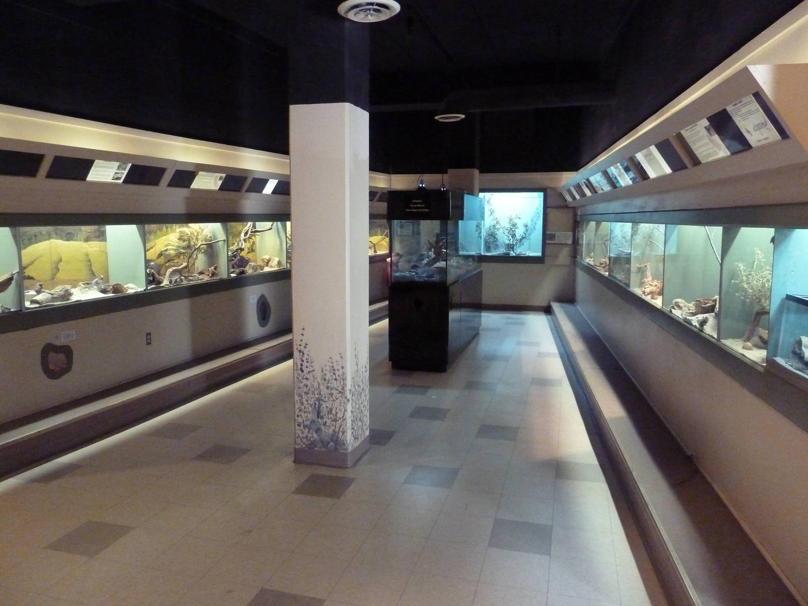 Reptile House - Hallway #1