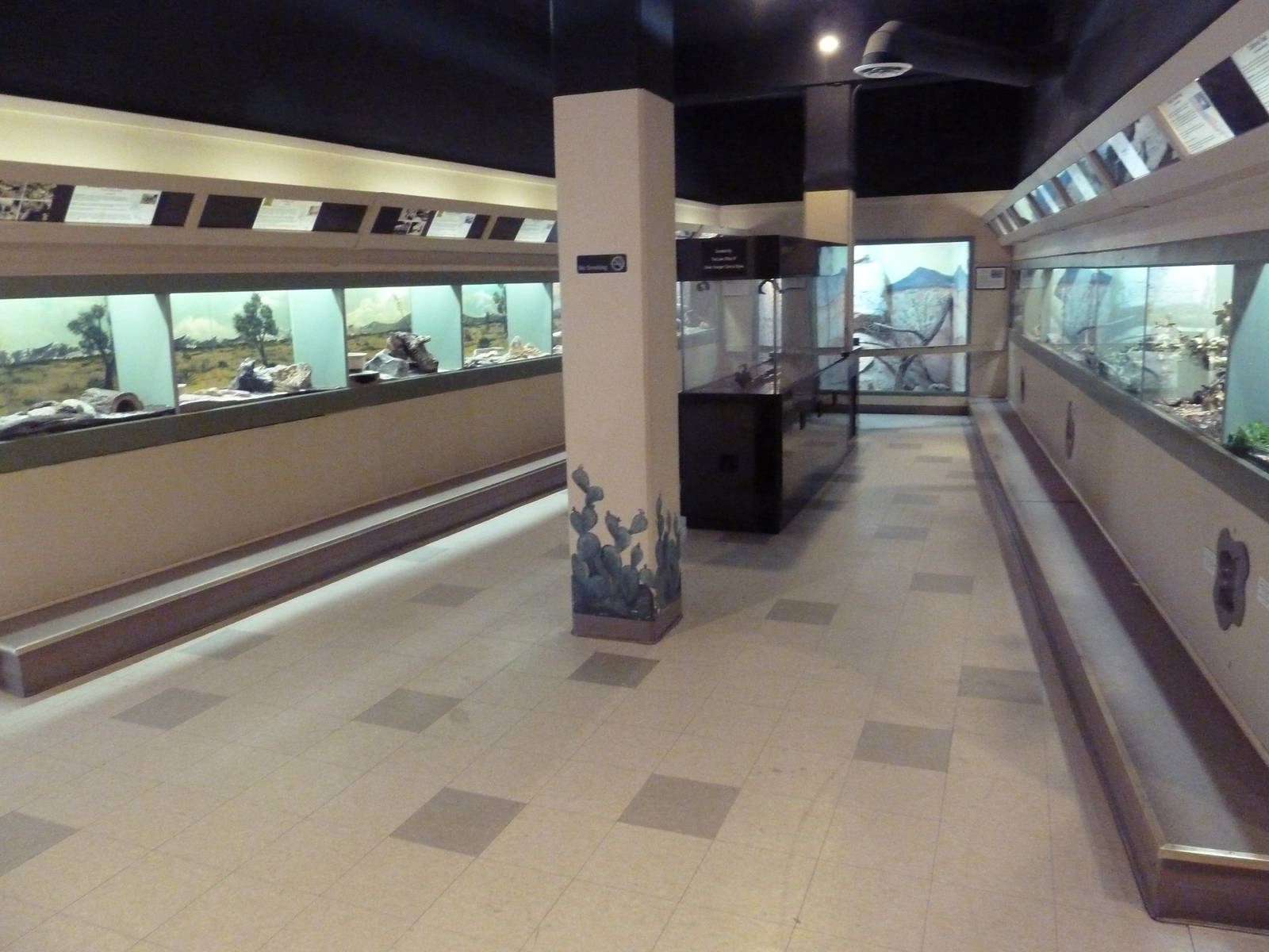 Reptile House - Hallway #2