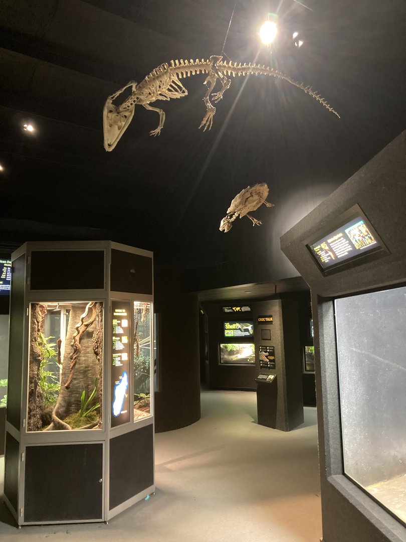 Reptile House hallway example (with hanging skeletons)