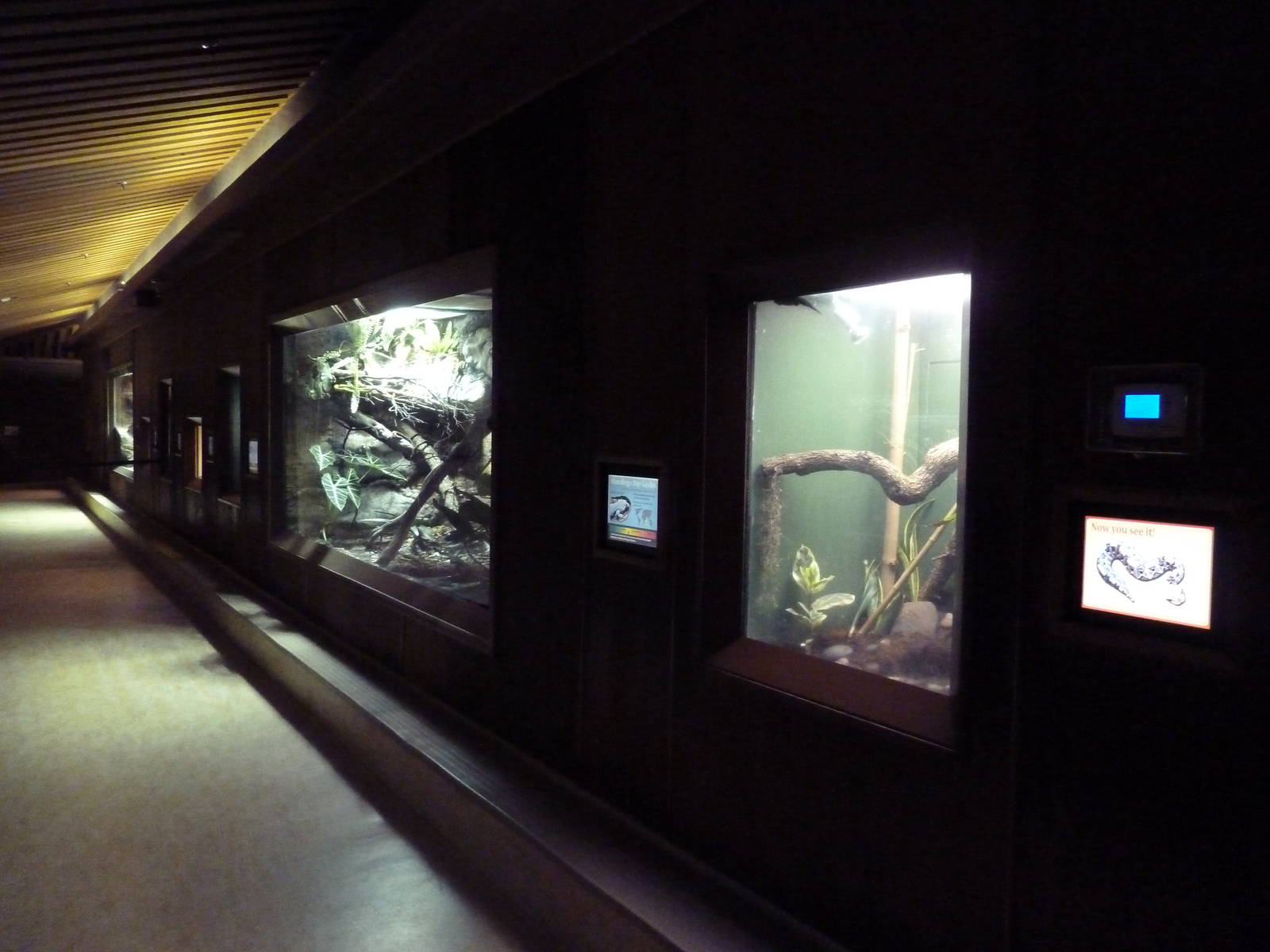 Reptile House Hallway