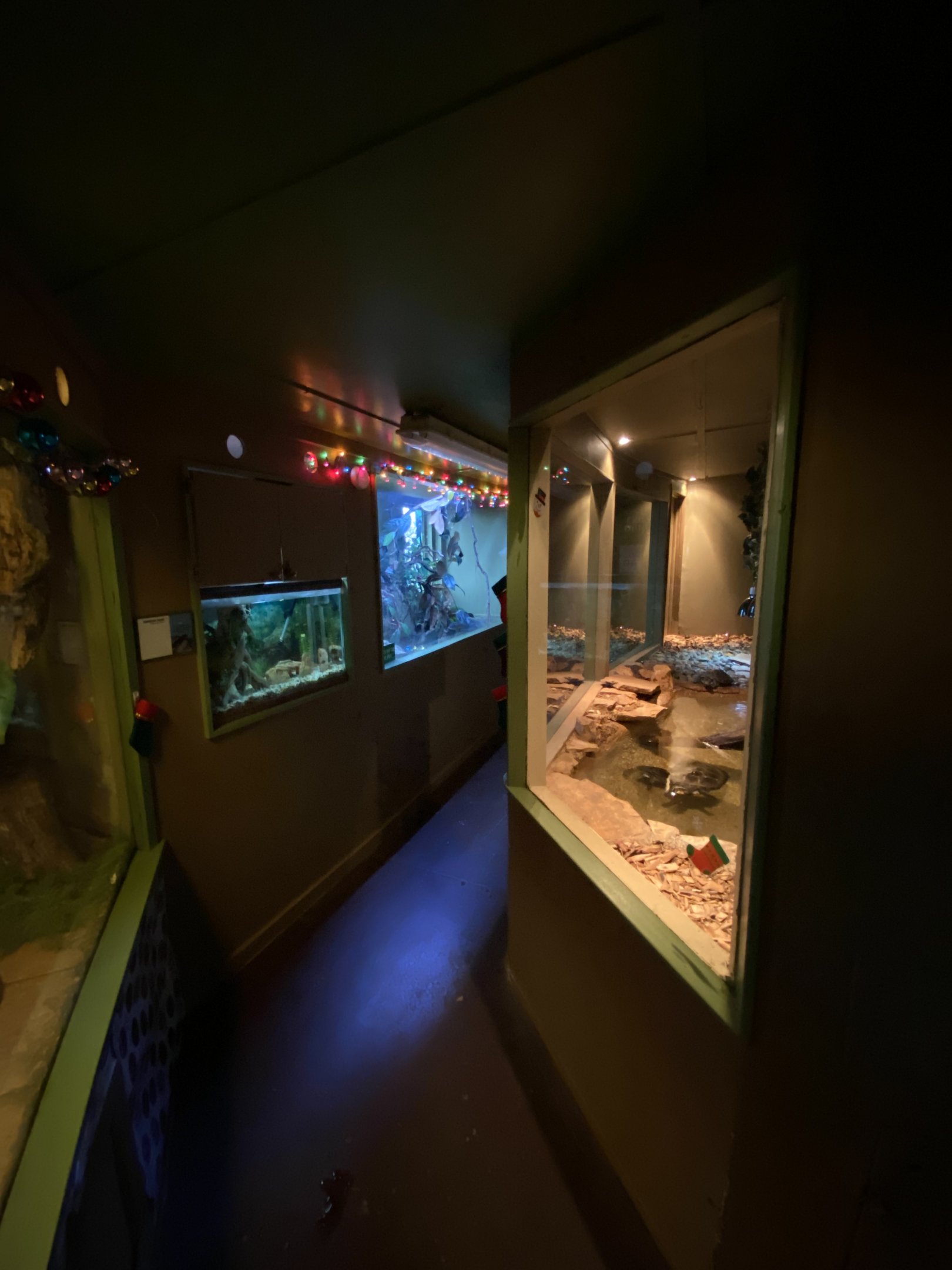 Reptile House Hallway
