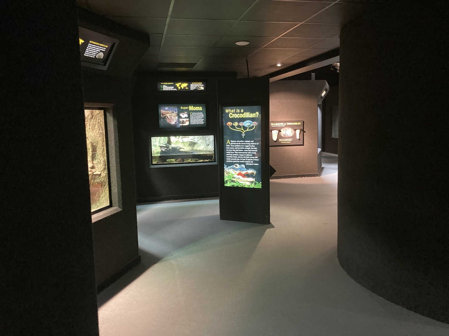 Reptile House hallway