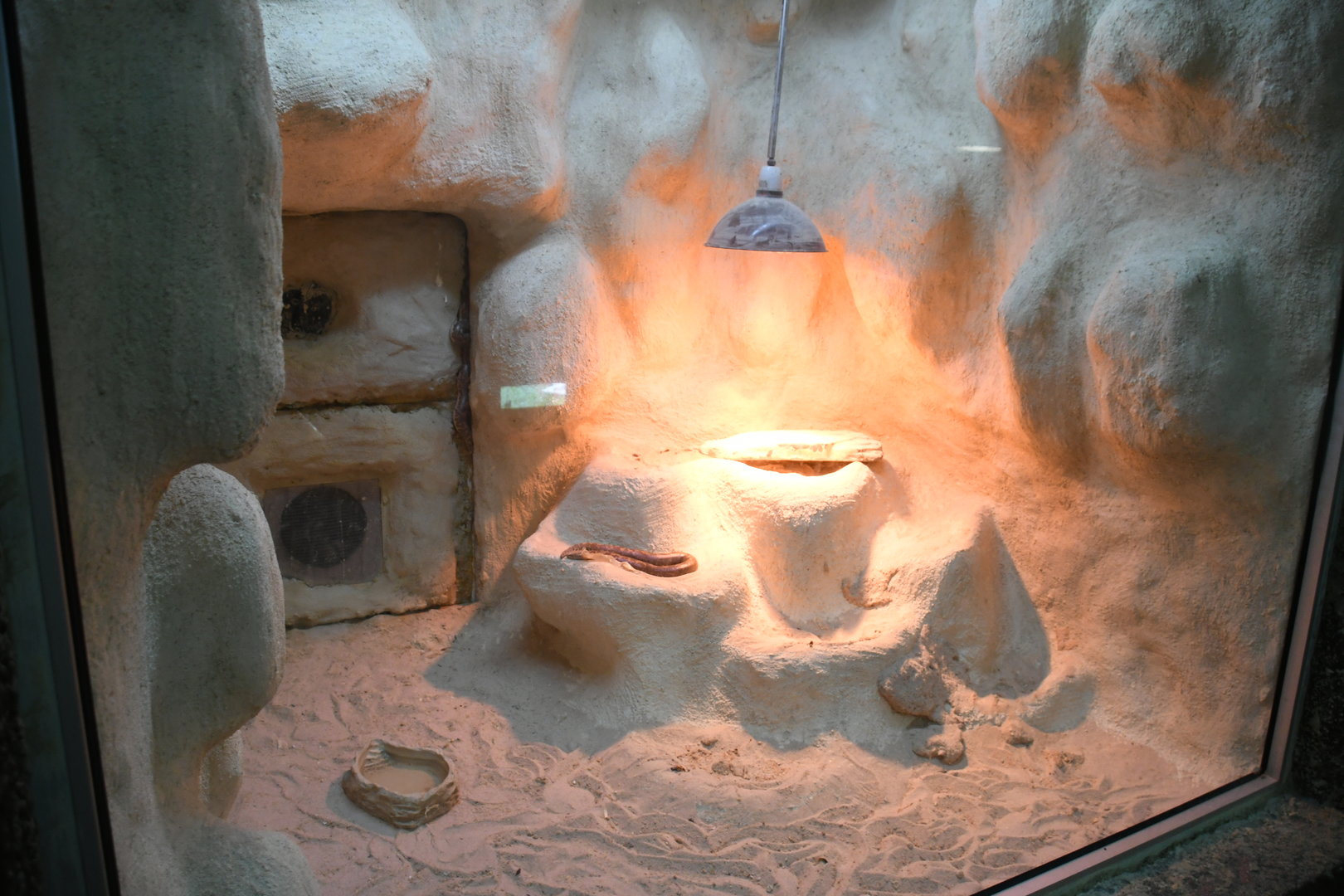 Reptile House (Indian Sand Boa exhibit)