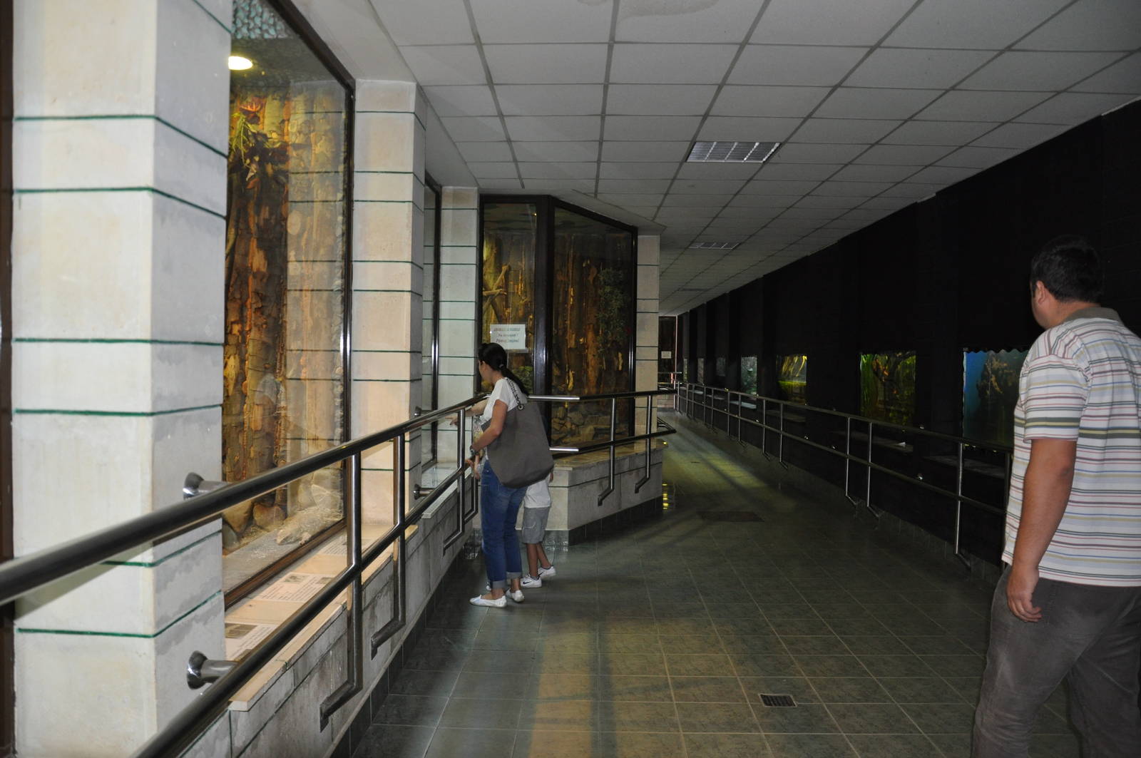 Reptile house. Indoor view