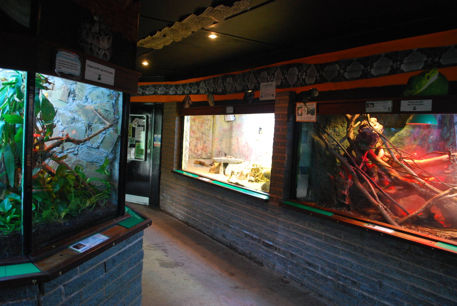 REPTILE HOUSE INSIDE