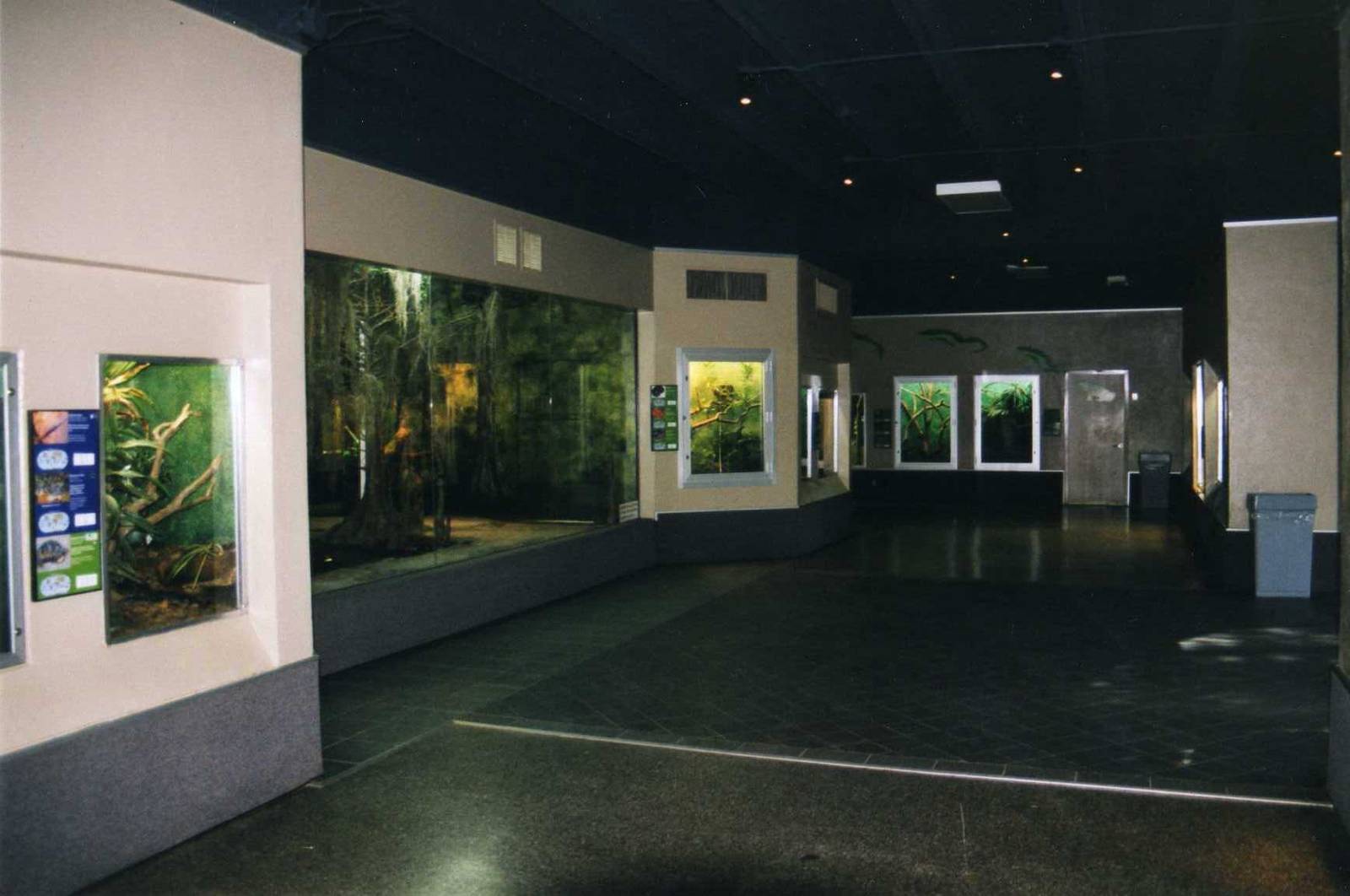 Reptile House Inside