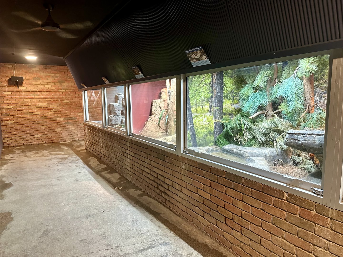Reptile House (Inside)