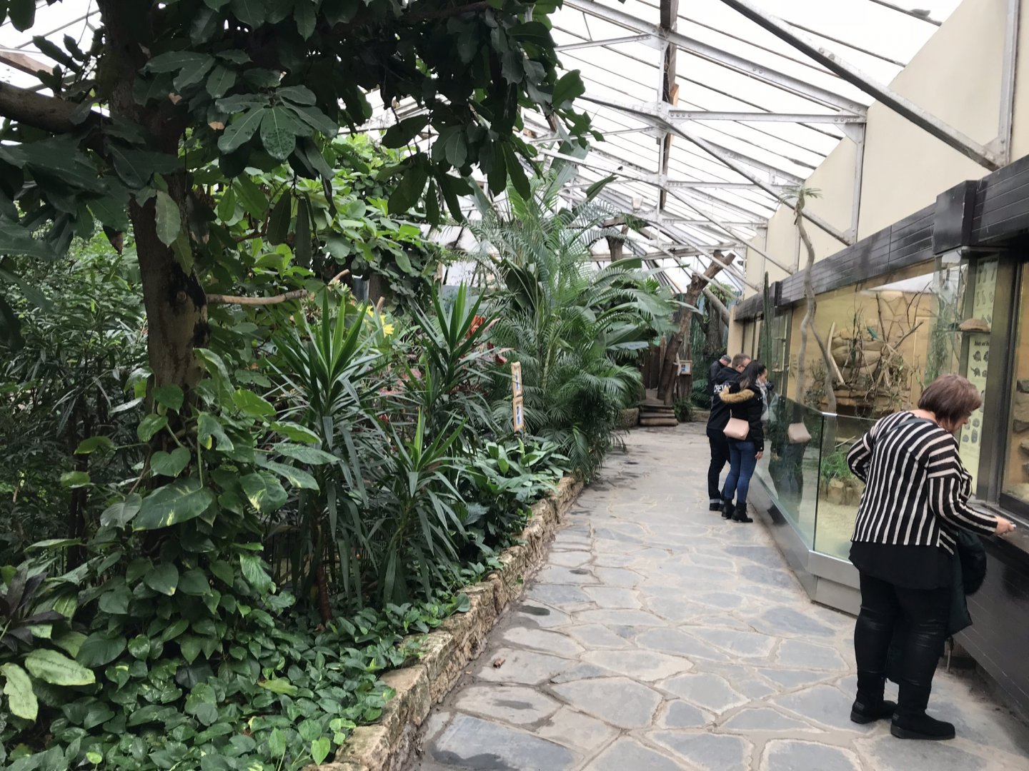 Reptile House interior 280118