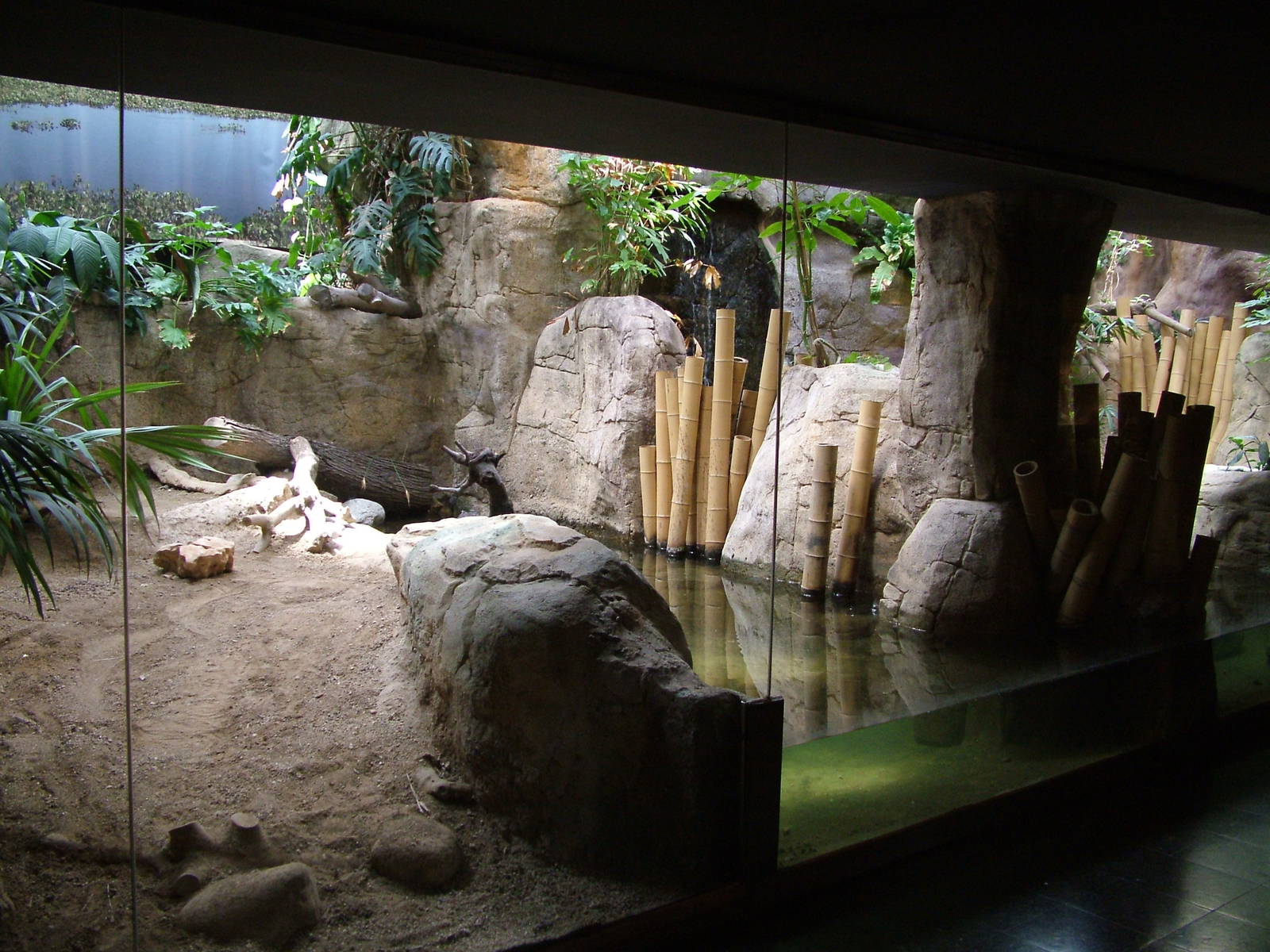 Reptile House Interior at Barcelona, 30/05/11