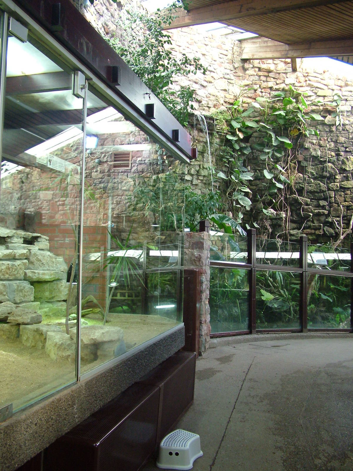 Reptile House interior at Bristol 19/12/09