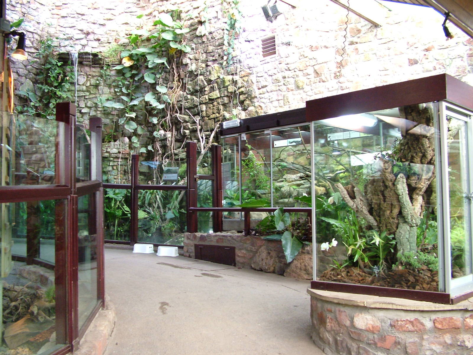 Reptile House interior at Bristol 19/12/09