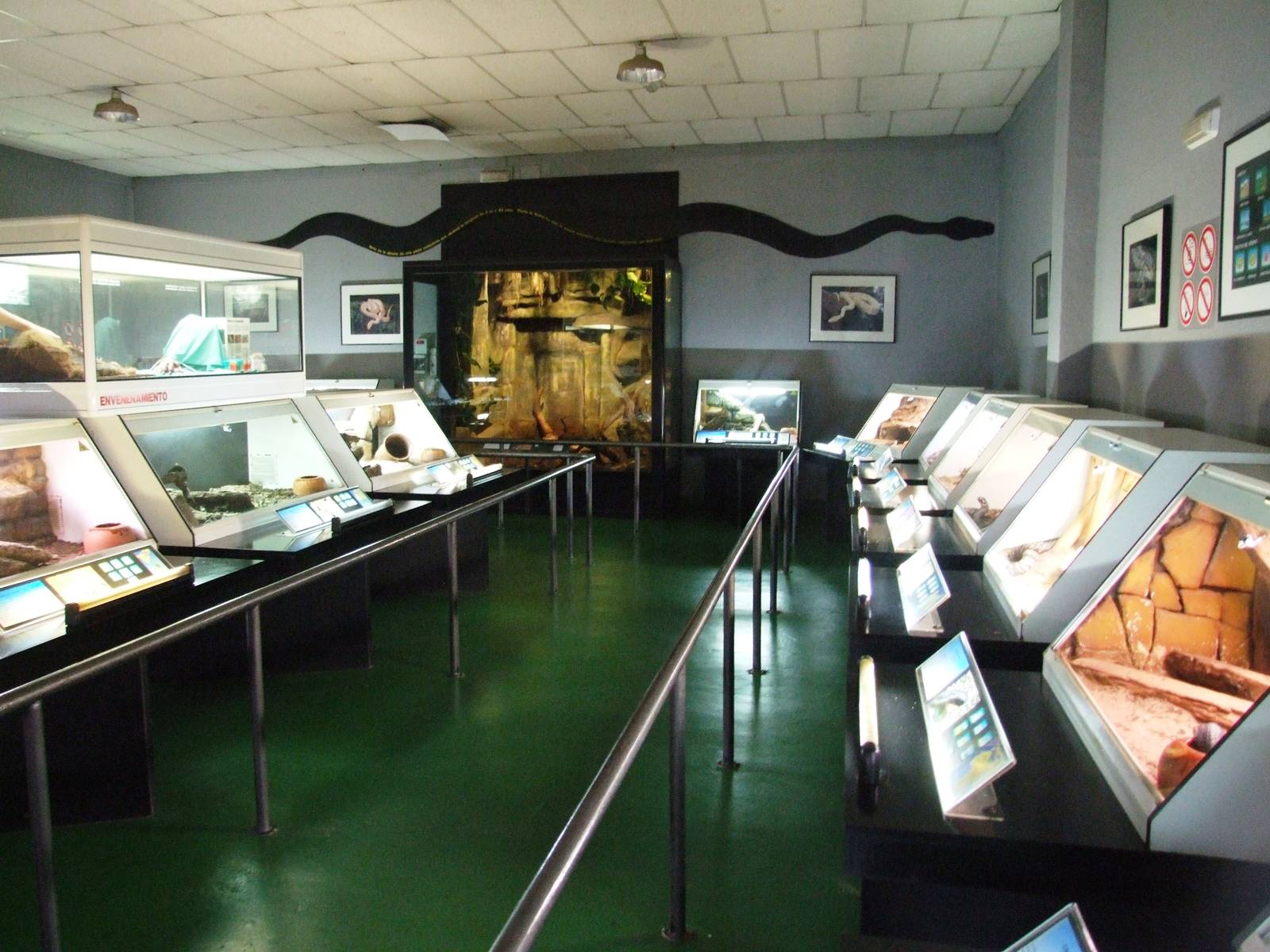 Reptile House Interior at Cabarceno, 11/06/15