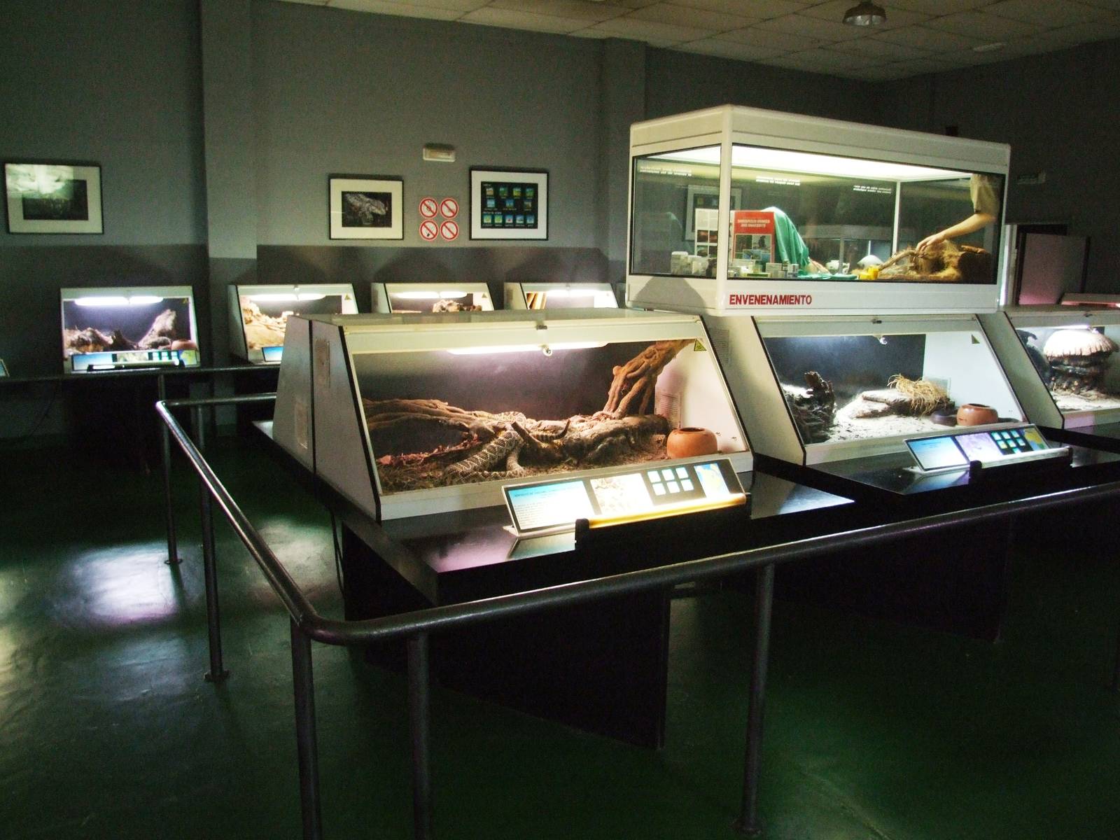 Reptile House Interior at Cabarceno, 11/06/15