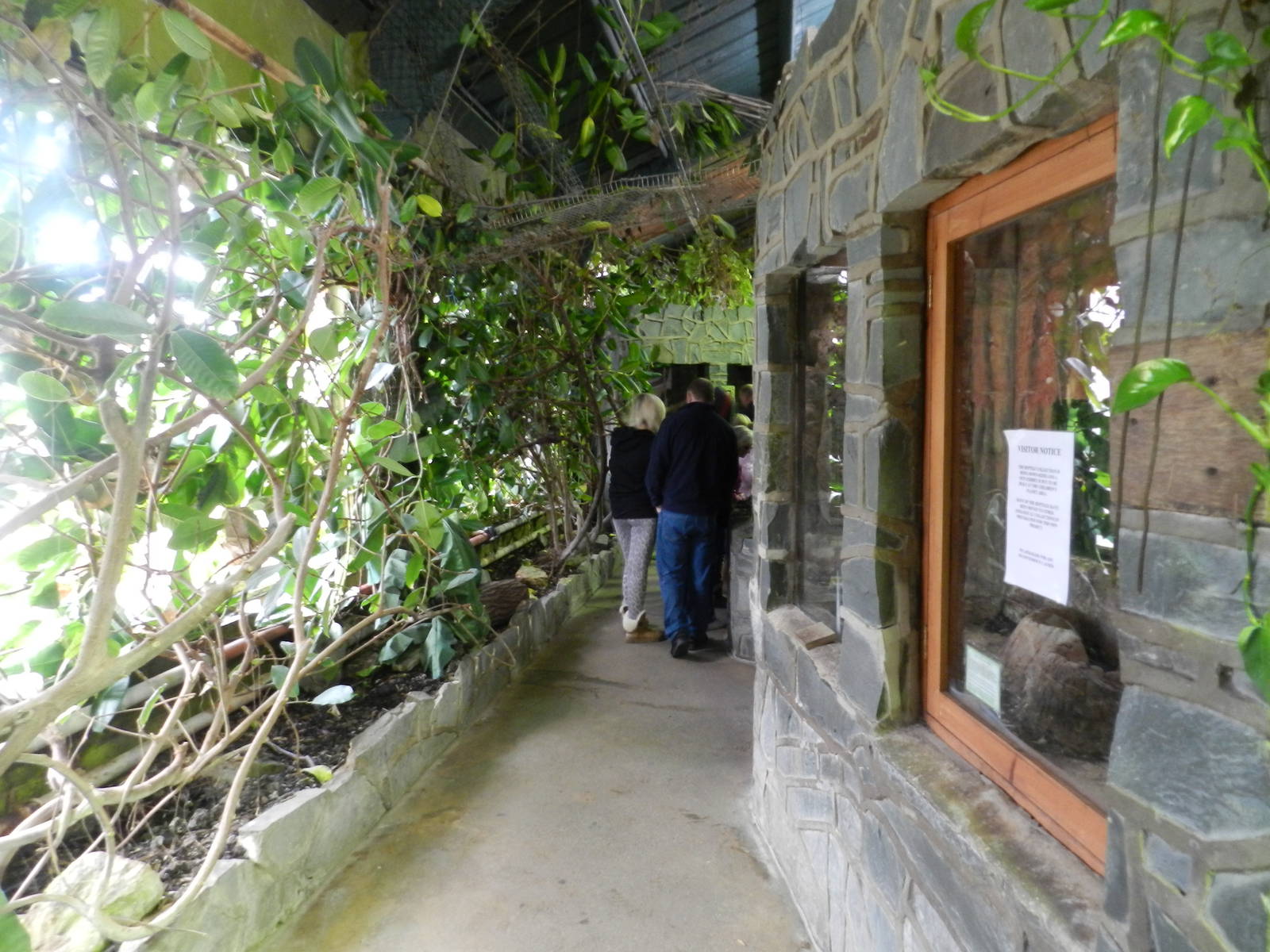 Reptile House Interior at Flamingo Land - 14/10/2012