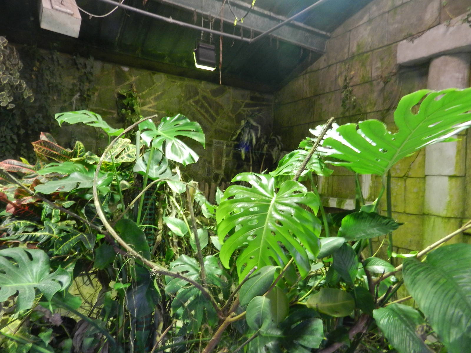 Reptile House Interior at Flamingo Land - 14/10/2012