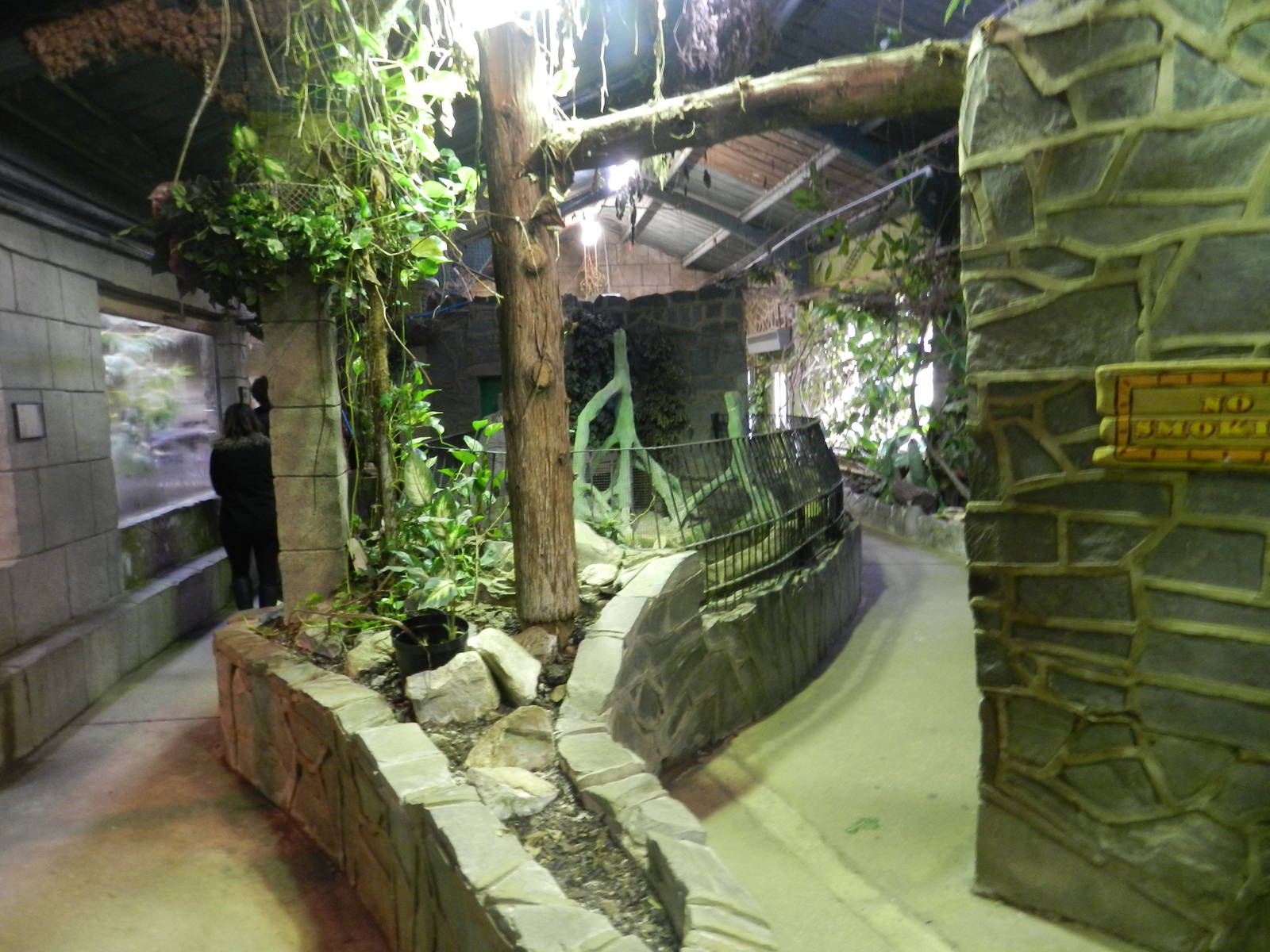 Reptile House Interior at Flamingo Land - 14/10/2012