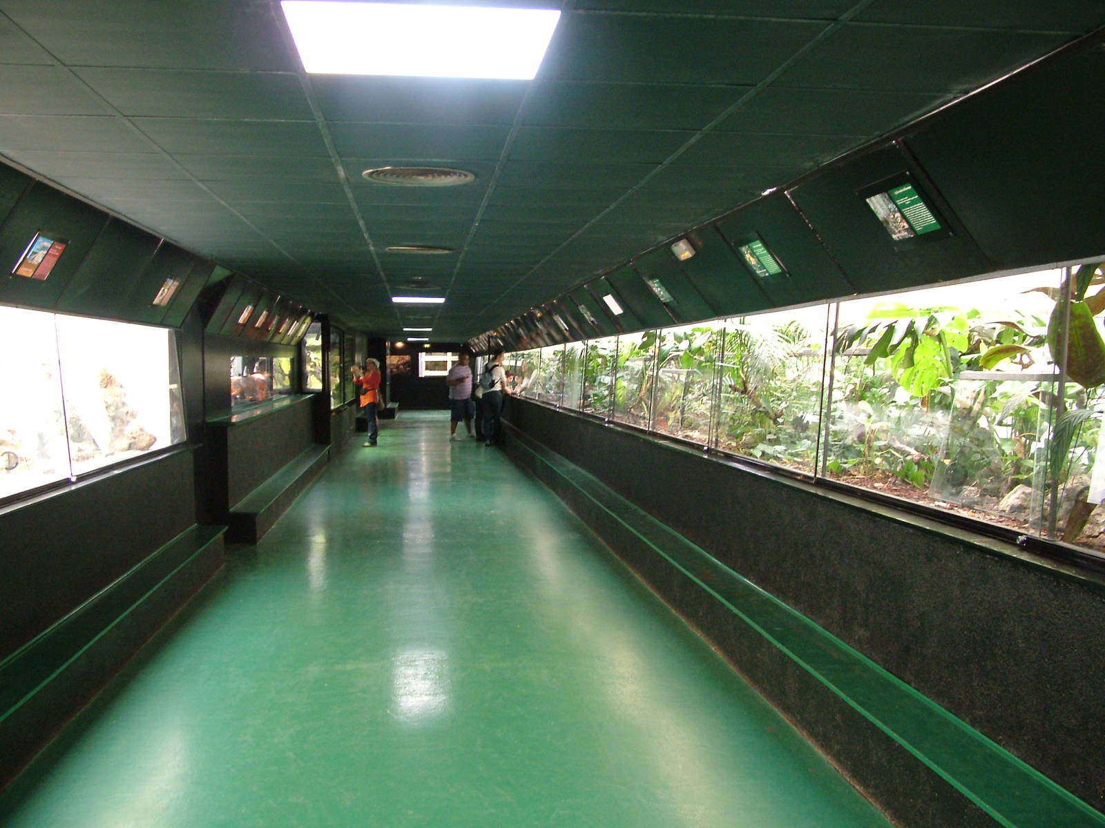 Reptile House Interior at Madrid Zoo Aquarium, 26/05/11