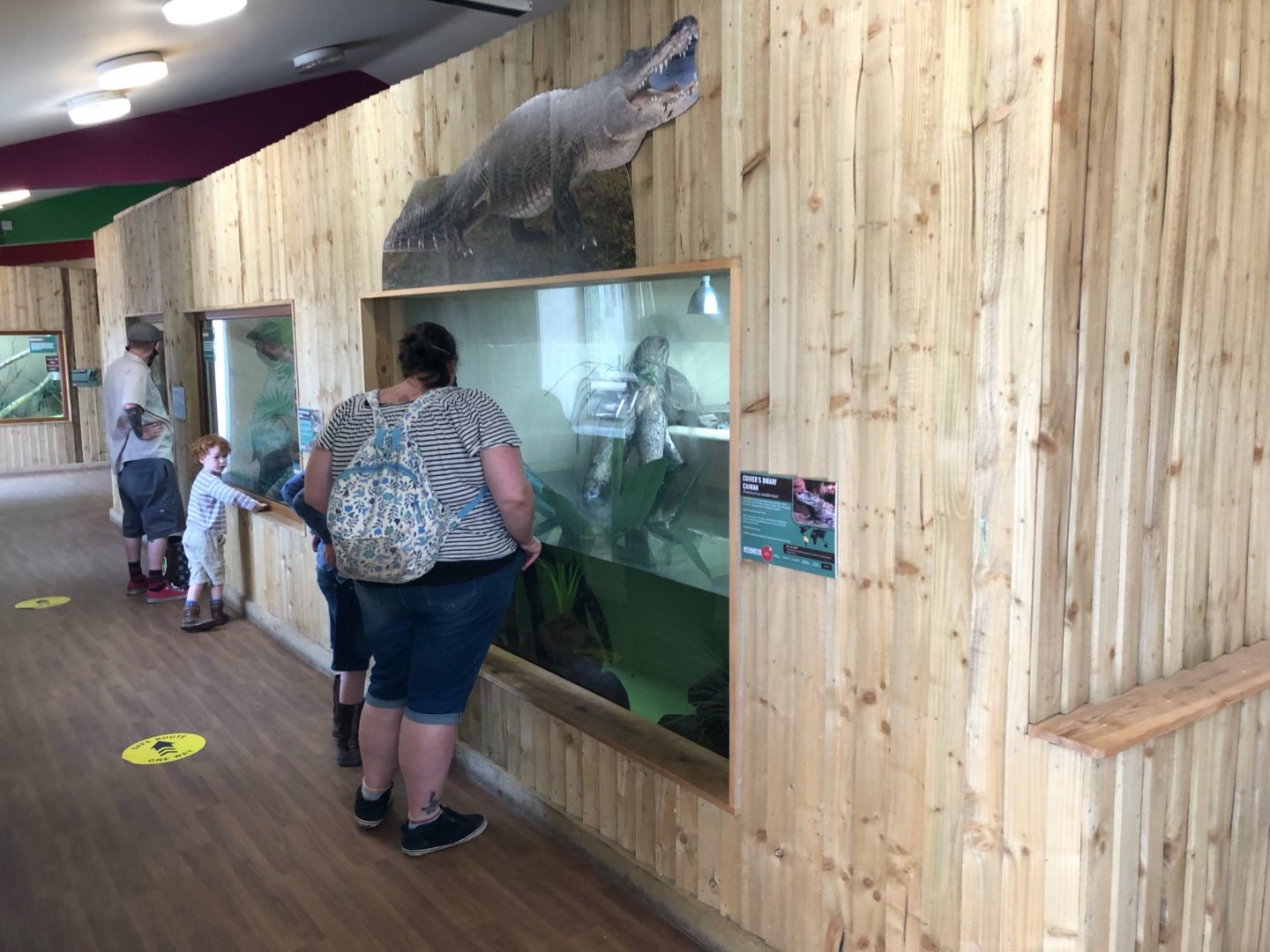 Reptile House Interior at Ponderosa Zoo (July 2021)