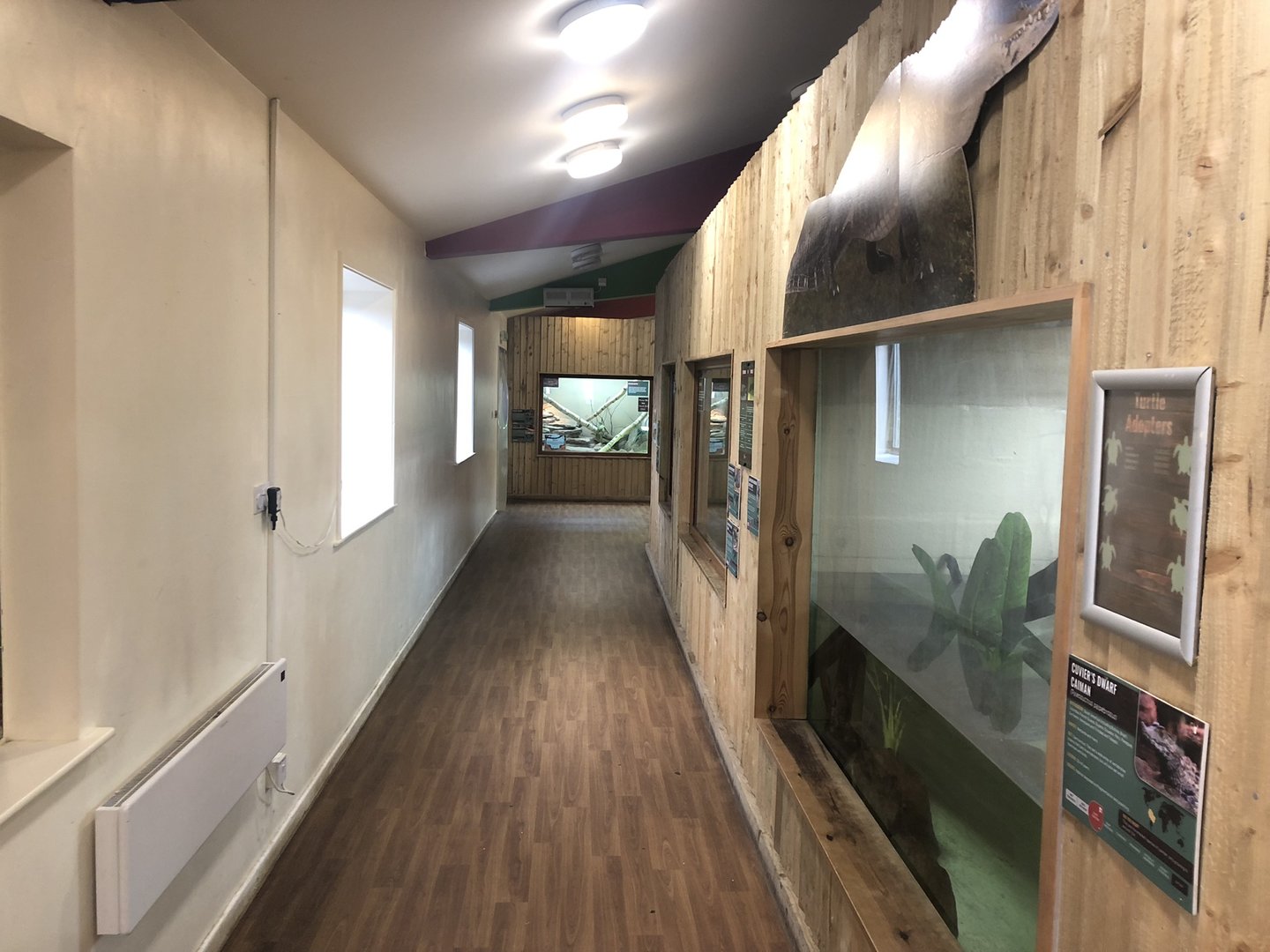 Reptile House Interior at Ponderosa Zoo (October 2022)