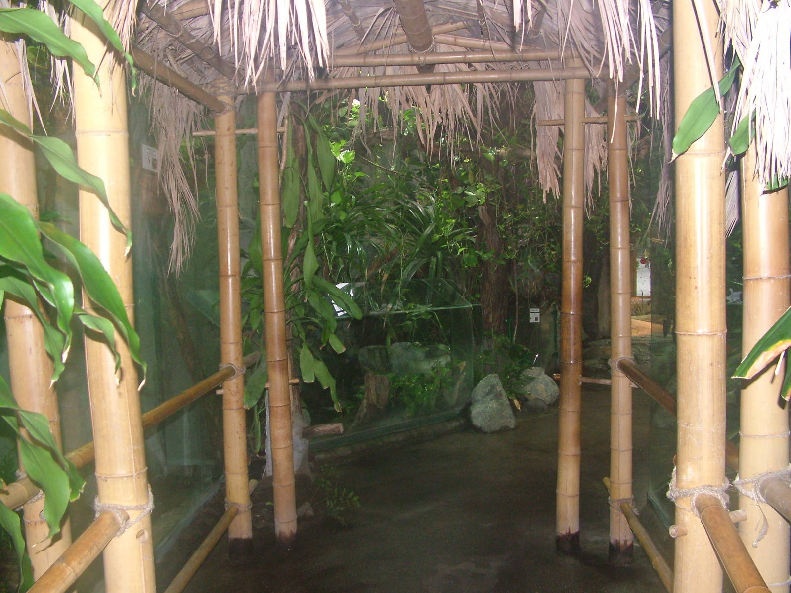Reptile House interior at the Old Zoo, Poznan Sept 08