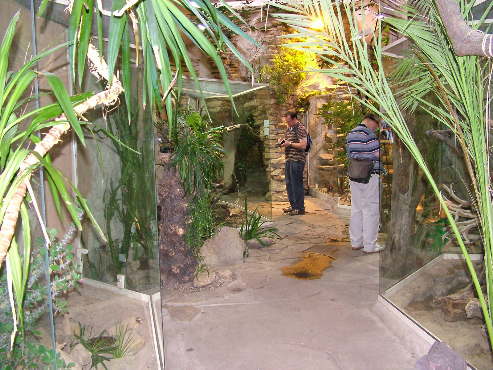 Reptile House interior at the Old Zoo, Poznan Sept 08