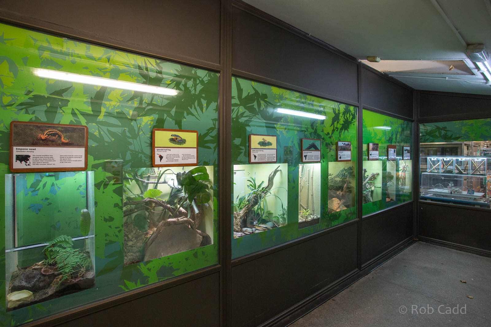 Reptile House (interior) : Bristol : 19 Oct 2015