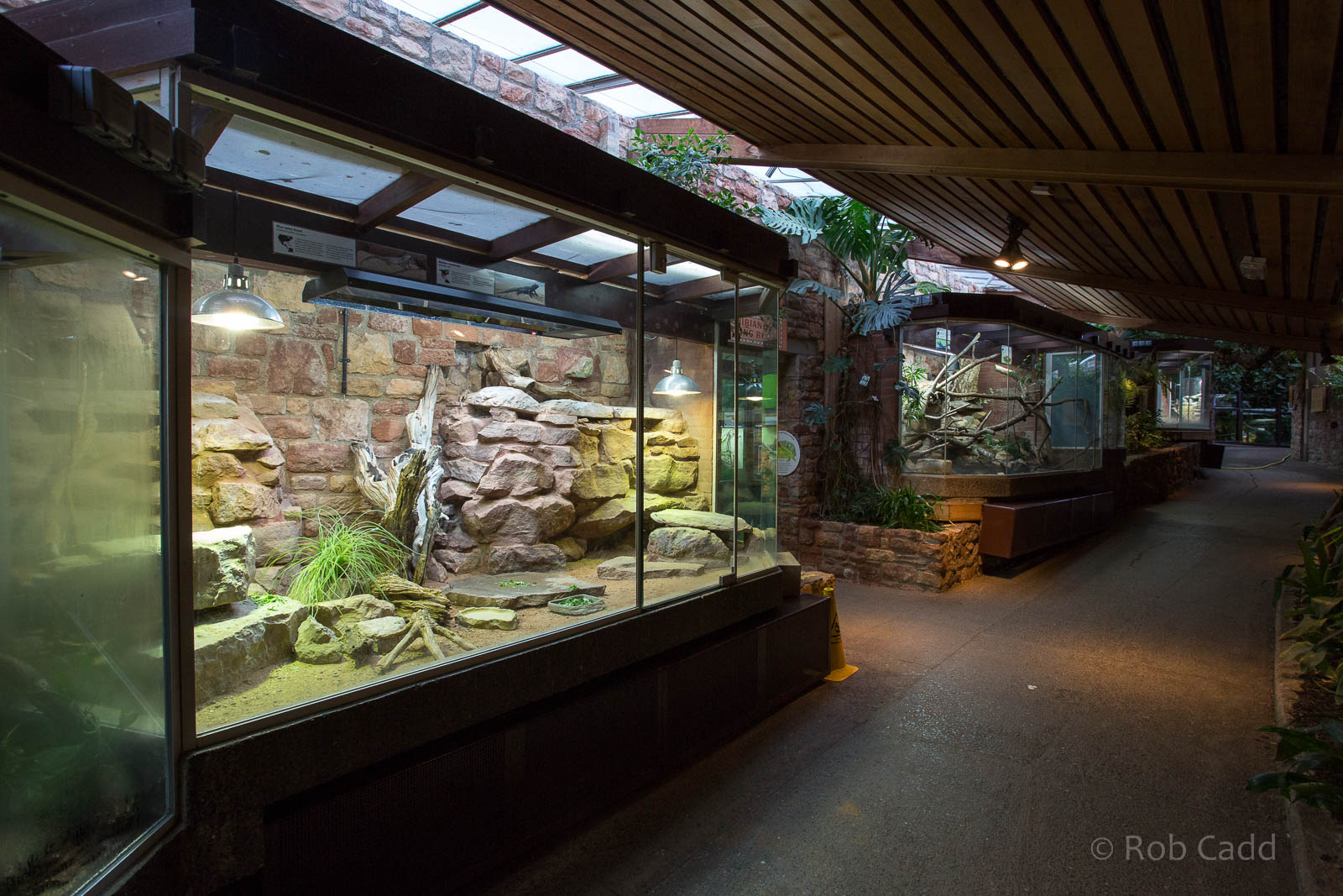Reptile House (interior) : Bristol : 19 Oct 2015
