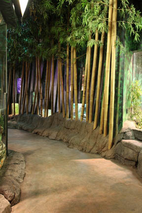 Reptile house interior - Feb 2012