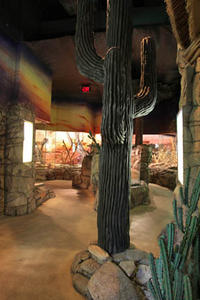 Reptile house interior - Feb 2012