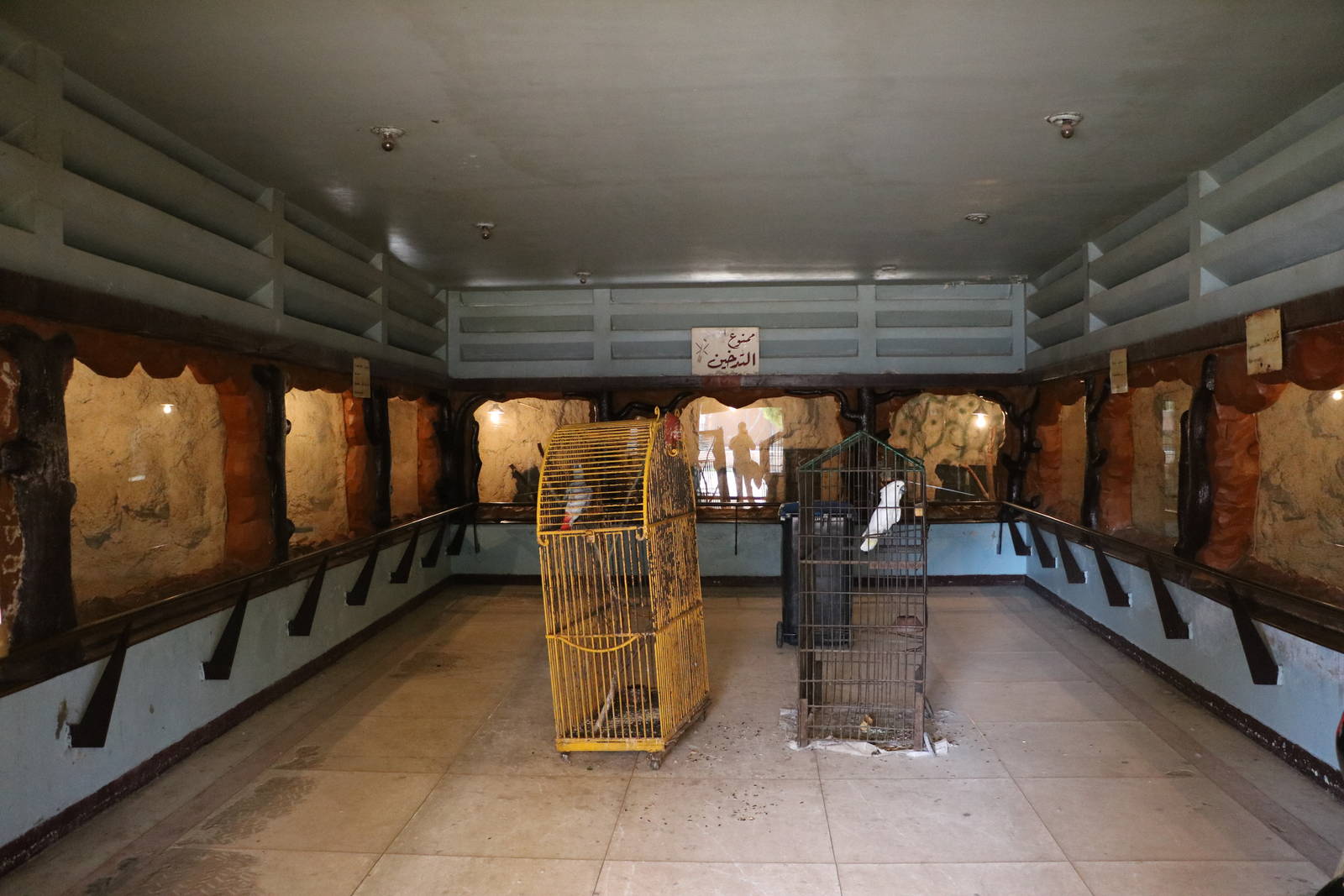 Reptile house interior, February 2016