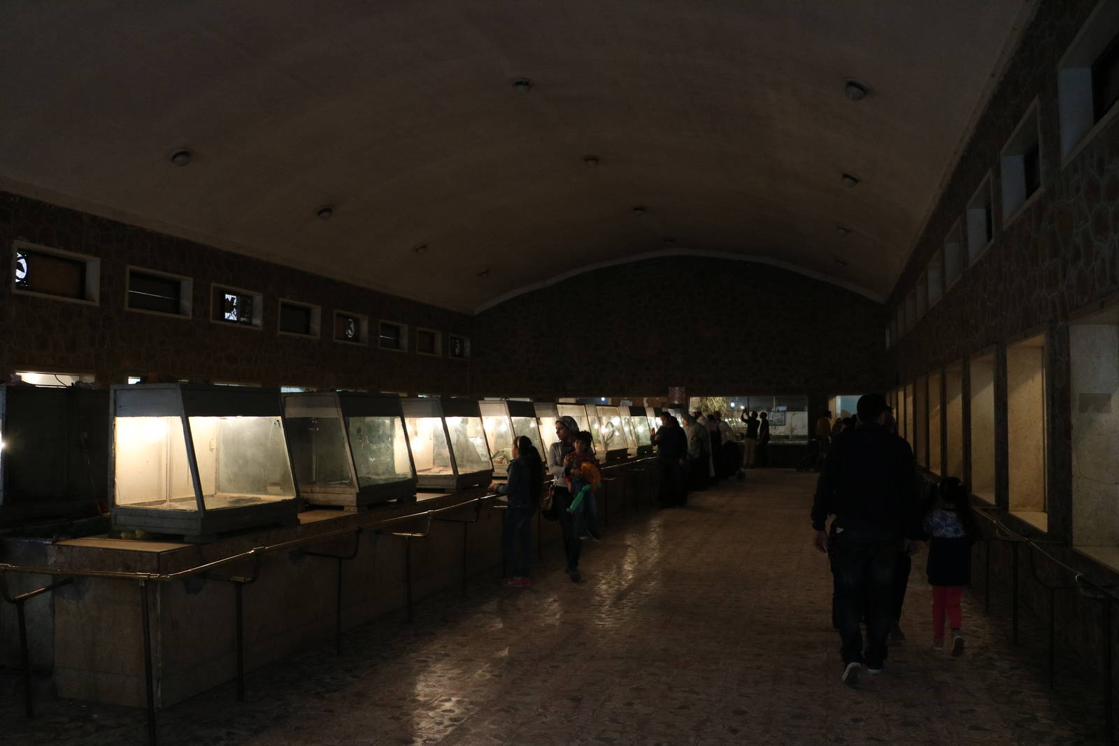 Reptile house interior, February 2016