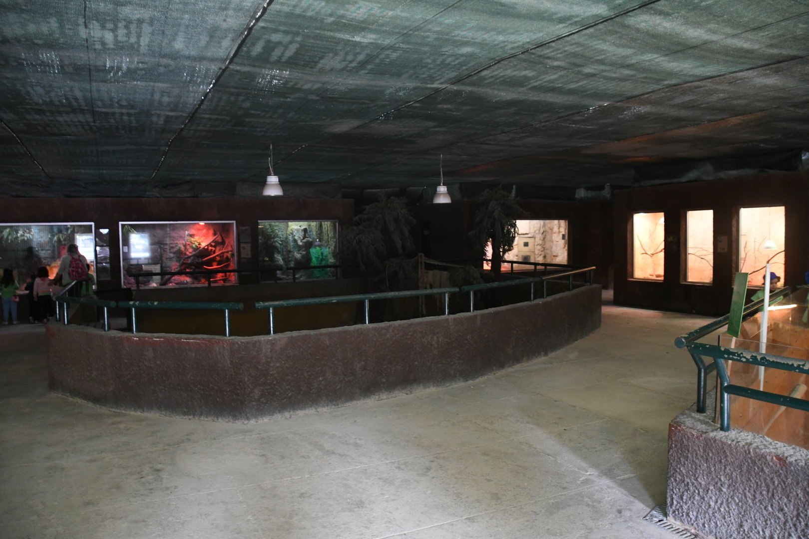 Reptile House interior (Iguanas exhibit in the center)