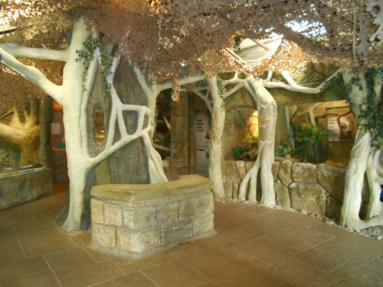 Reptile House interior - March 11th 2016