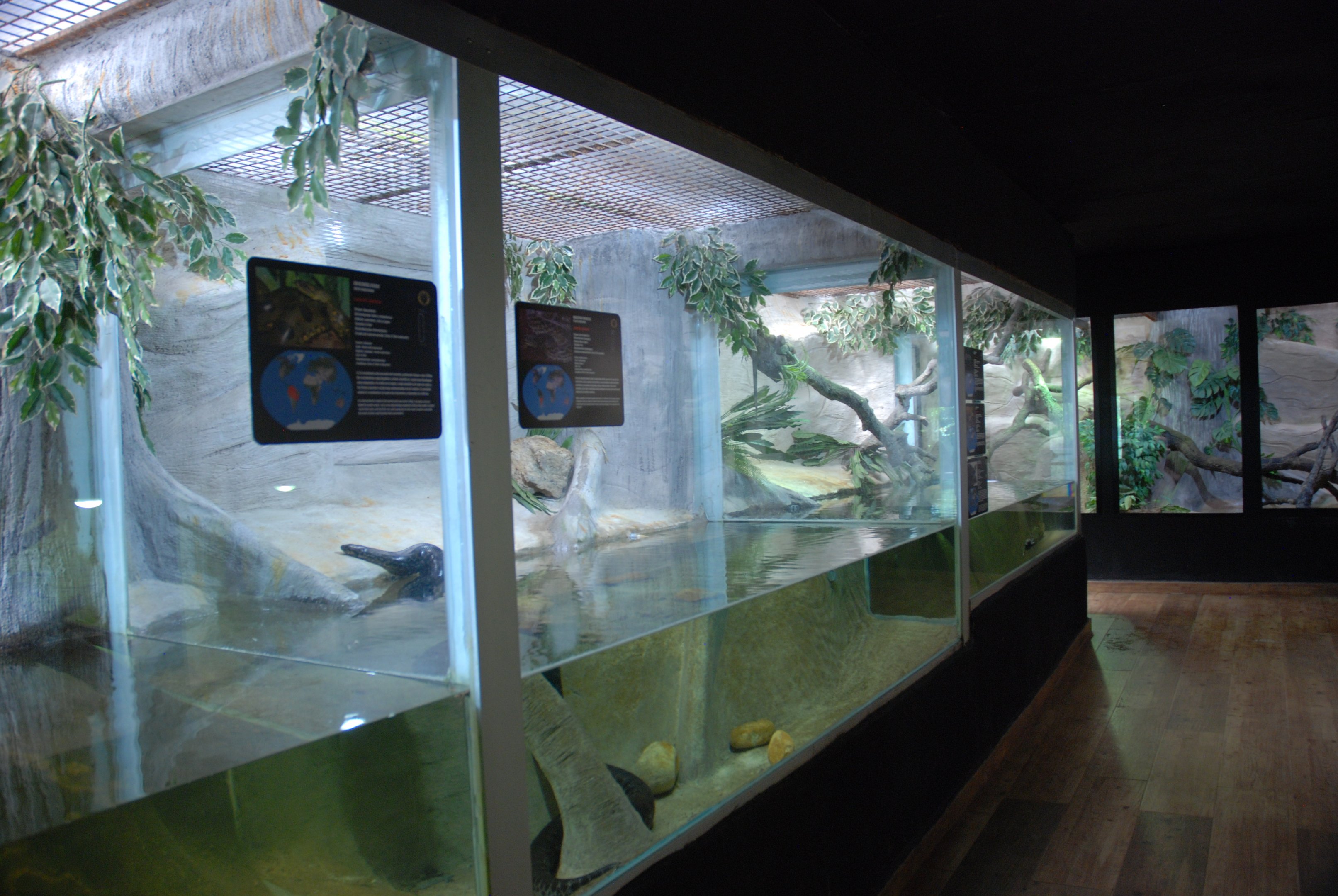 Reptile House Interior (Newer Building) at Safari Madrid, 19th May 2022