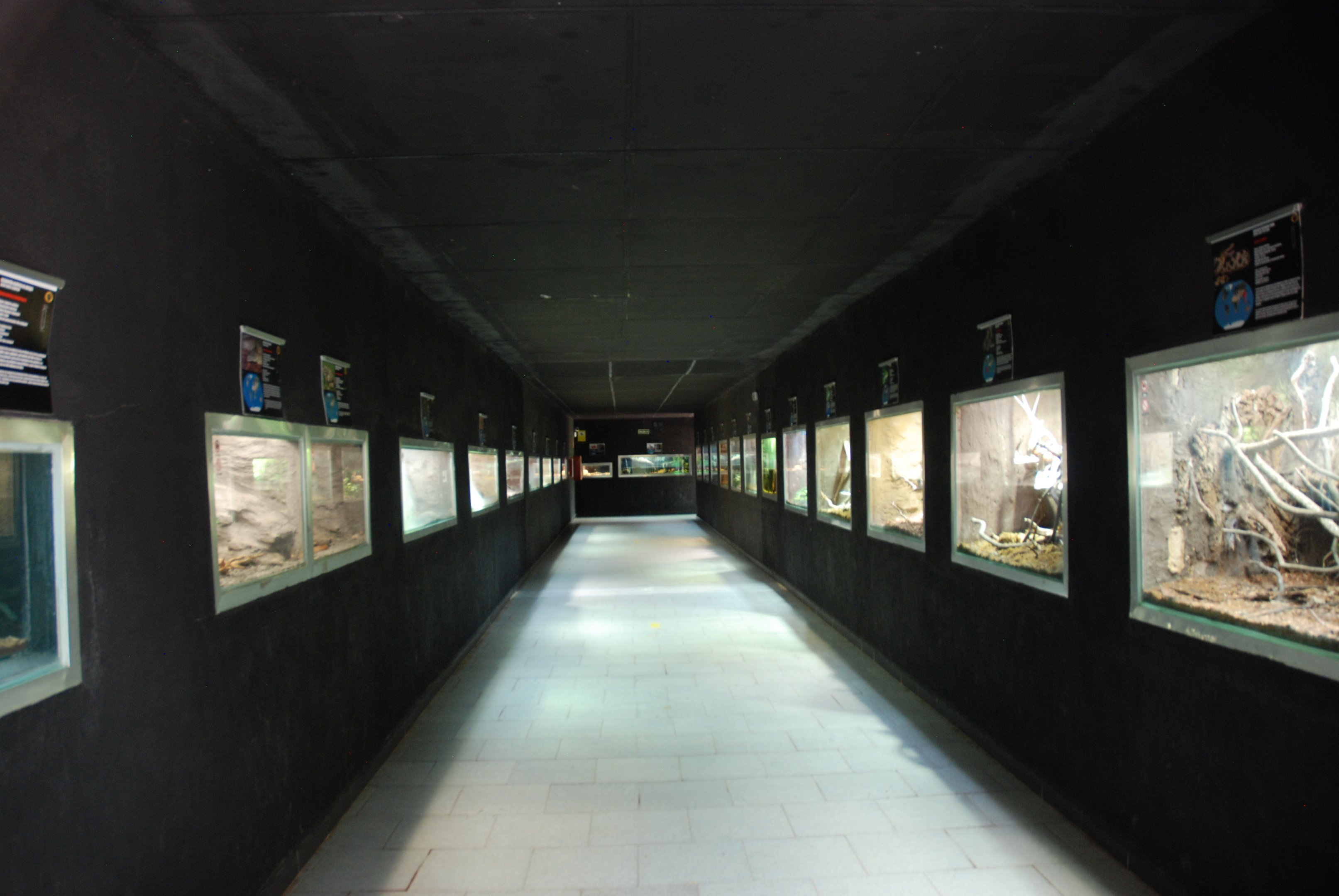 Reptile House Interior (Older Building) at Safari Madrid, 19th May 2022