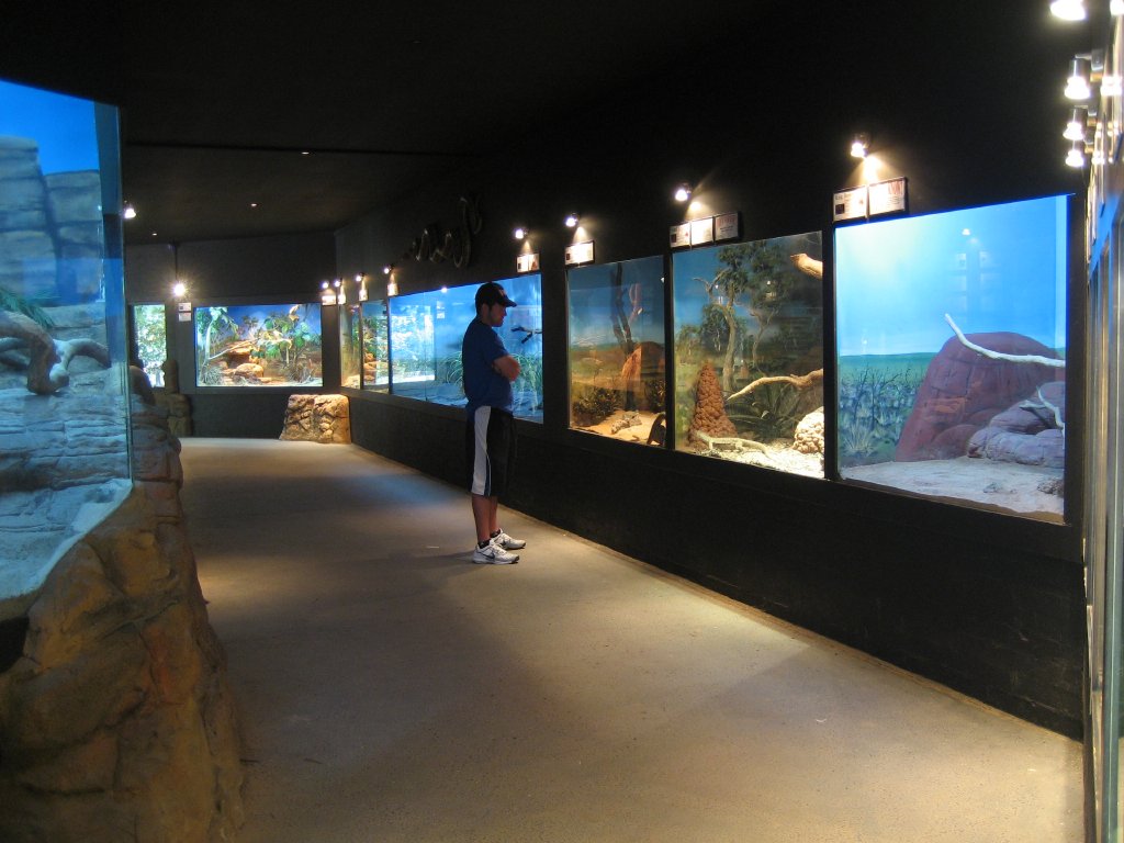 Reptile House interior