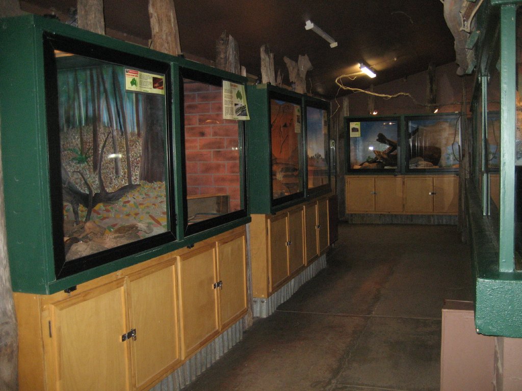 Reptile House interior