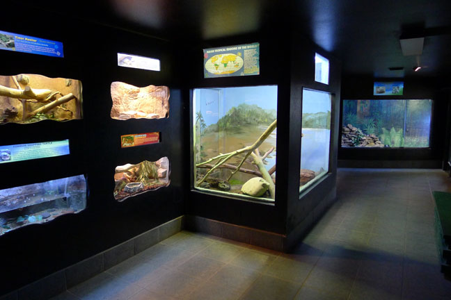 reptile house interior