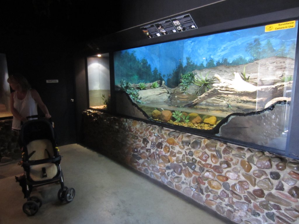 Reptile house interior