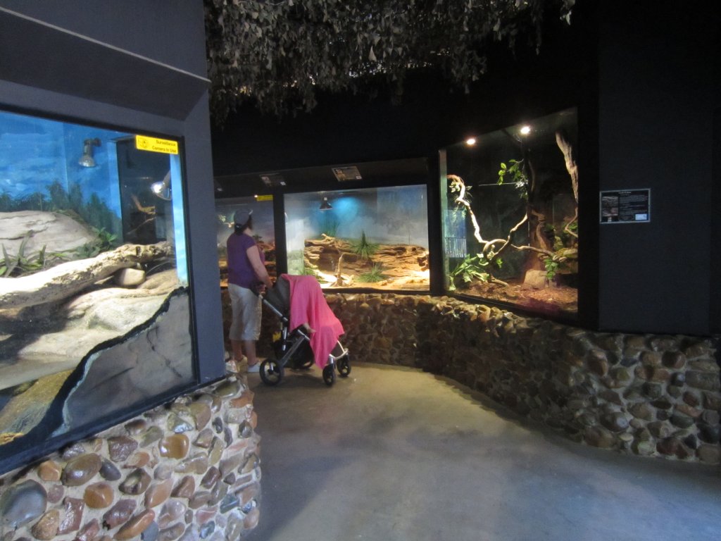 Reptile house interior