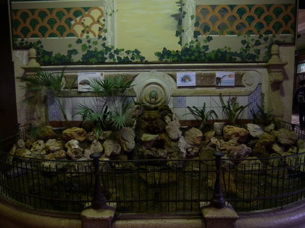 Reptile house interior