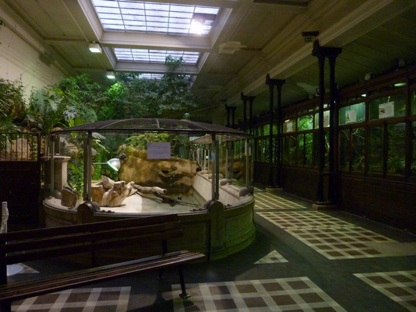 Reptile house interior